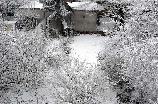 02.02.05_1.jpg - Im siebzehnten Jahr...2. Februar 2005Ausnahmsweise mal wieder richtiger Winter