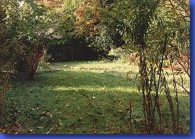 10_94.jpg - Auch im sechsten Jahr...Oktober 1994Auch der Herbst hat seine Reize!