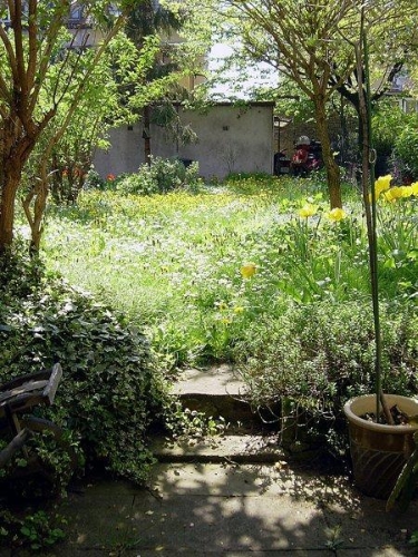 22_04_05_1.jpg - 22. April 2005Ich kann's nicht lassen! Muss wieder mal raus...Dies ist der letzte Tag, an dem ich mich meinem Garten fotografisch widme!