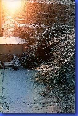 2_97.jpg - Im neunten Jahr...Februar 1997Winterliche Impression