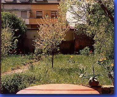 5_89.jpg - Auch im ersten Jahr...Mai 1989Einen Monat später: Und was da so alles gekommen ist! Das hätte ich fast nicht gedacht...Es wächst und blüht und grünt, dass es geradeso eine Pracht ist... Rechts in dem kleinen Topf eine Agave.Dumm nur, dass ich noch keinen Rasenmäher habe! (Mein Nachbar hat mir dann einen geliehen, als er mich mit der Rasen-Handschere hantieren sah...)
