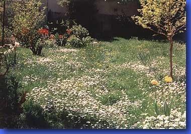 5_97.jpg - Auch im neunten Jahr...Mai 1997